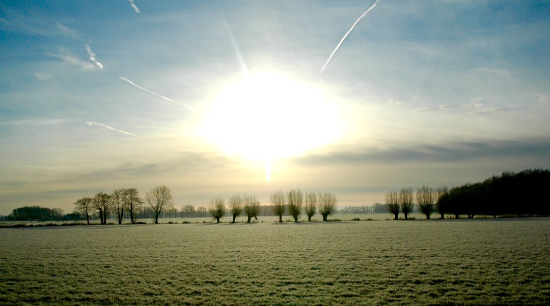 Staatsbosbeheer – Bert Hummelen