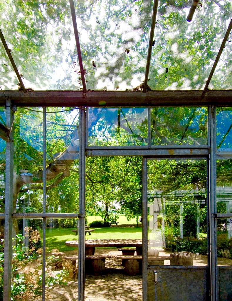 vergaderlocatie Apeldoorn Het Glazen Huis tuin veluwe groen