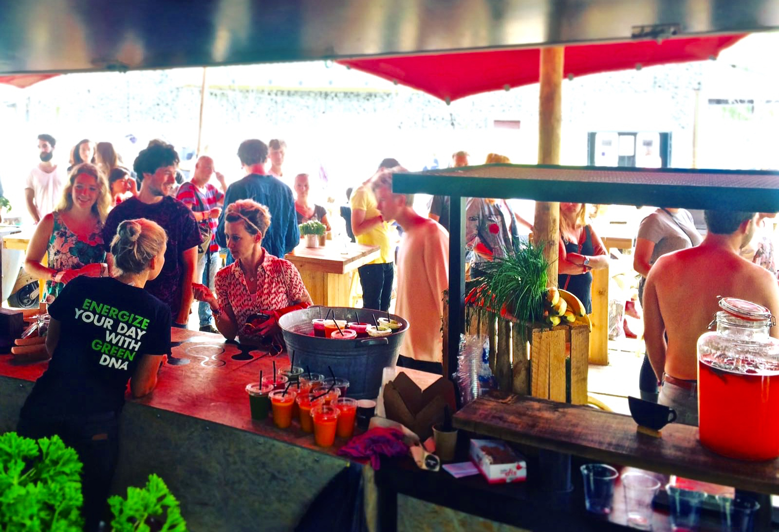 greendna evenementencatering festivals down the rabbit hole 2016