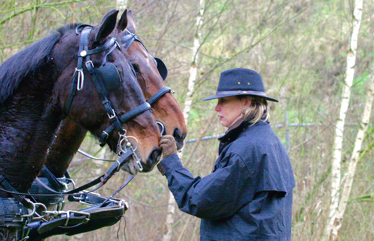leiderschapstraining teambuilding Span of control paardencoaching paardenfluisteren