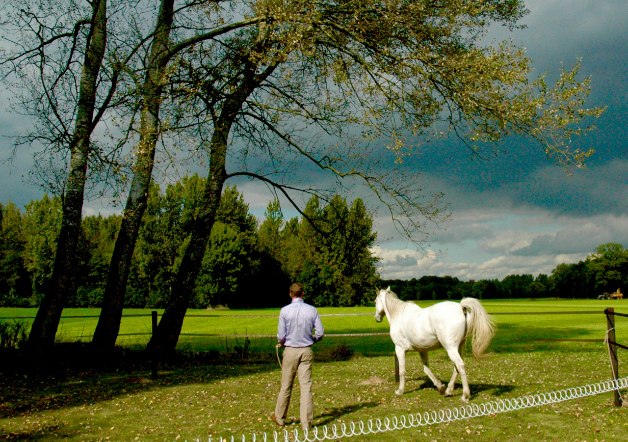 leiderschapstraining teambuilding Span of control paardencoaching