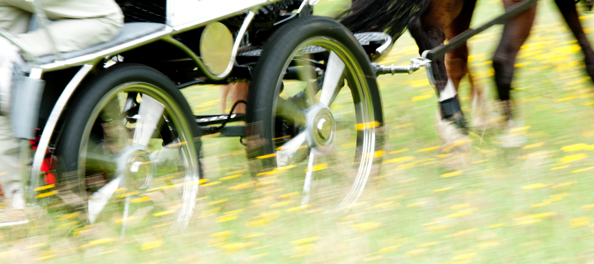 leiderschapstraining teambuilding Span of control paardenmennen GreenDNA