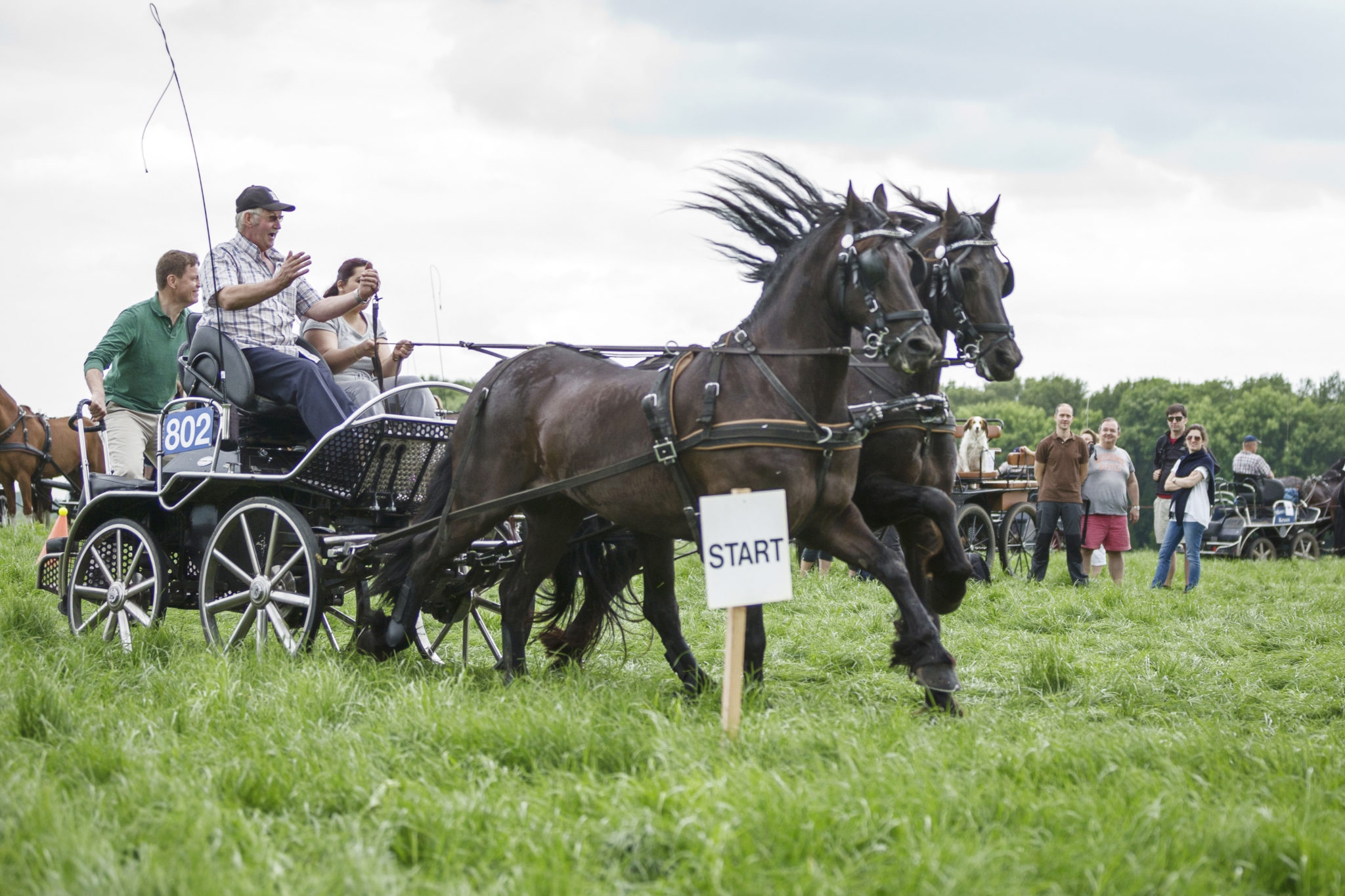 leiderschapstraining teambuilding Span of control paardenmennen GreenDNA