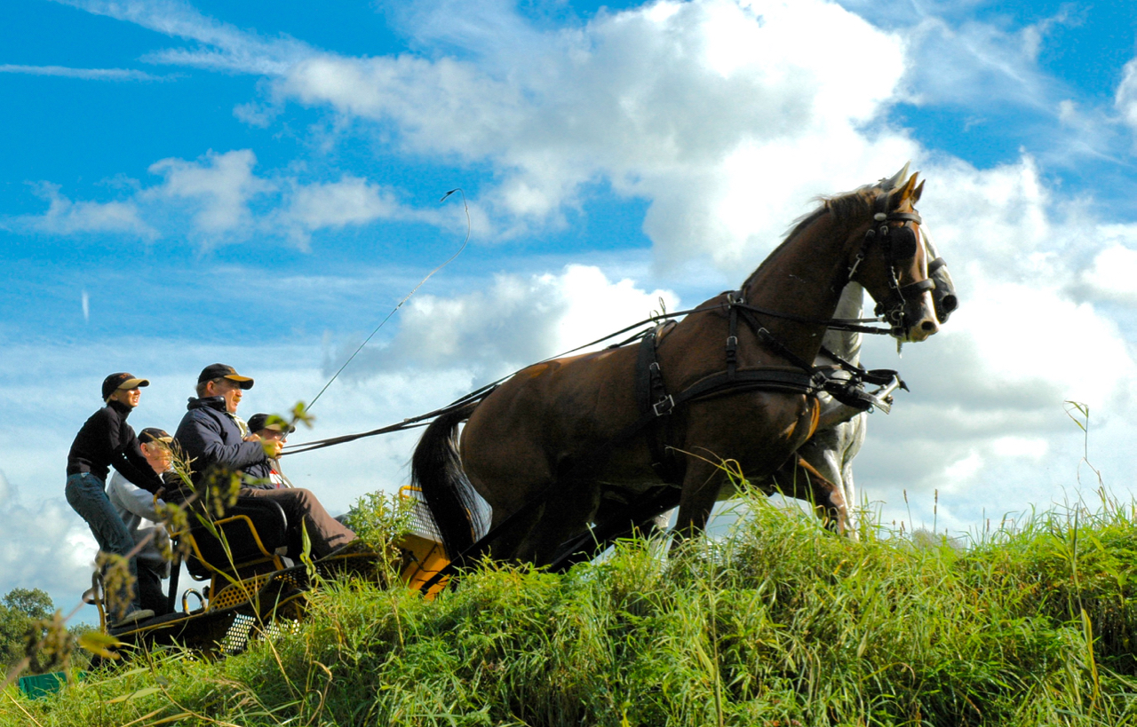 leiderschapstraining teambuilding Span of control paardenmennen