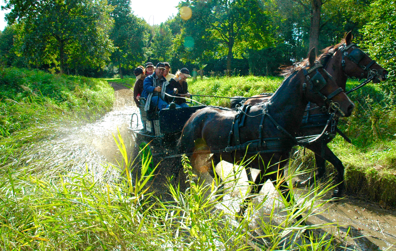 leiderschapstraining teambuilding Span of control paardenmennen GreenDNA
