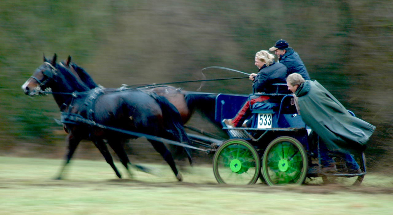 leiderschapstraining teambuilding Span of control paardenmennen