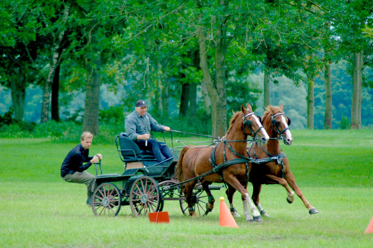 leiderschapstraining teambuilding Span of control paardenmennen