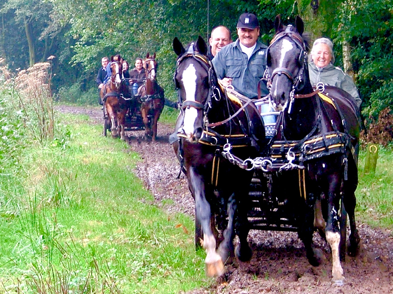 leiderschapstraining teambuilding Span of control paardenmennen