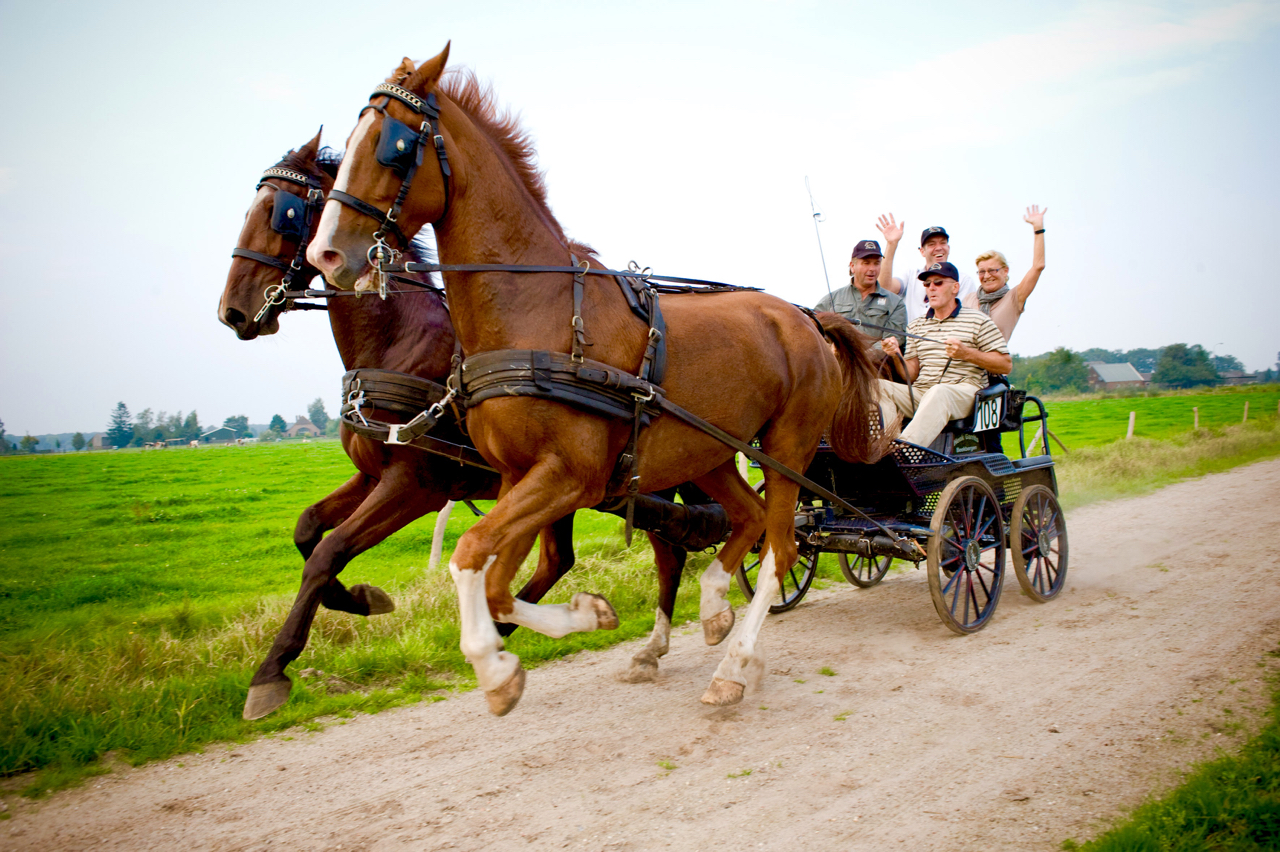 leiderschapstraining teambuilding Span of control paardenmennen GreenDNA