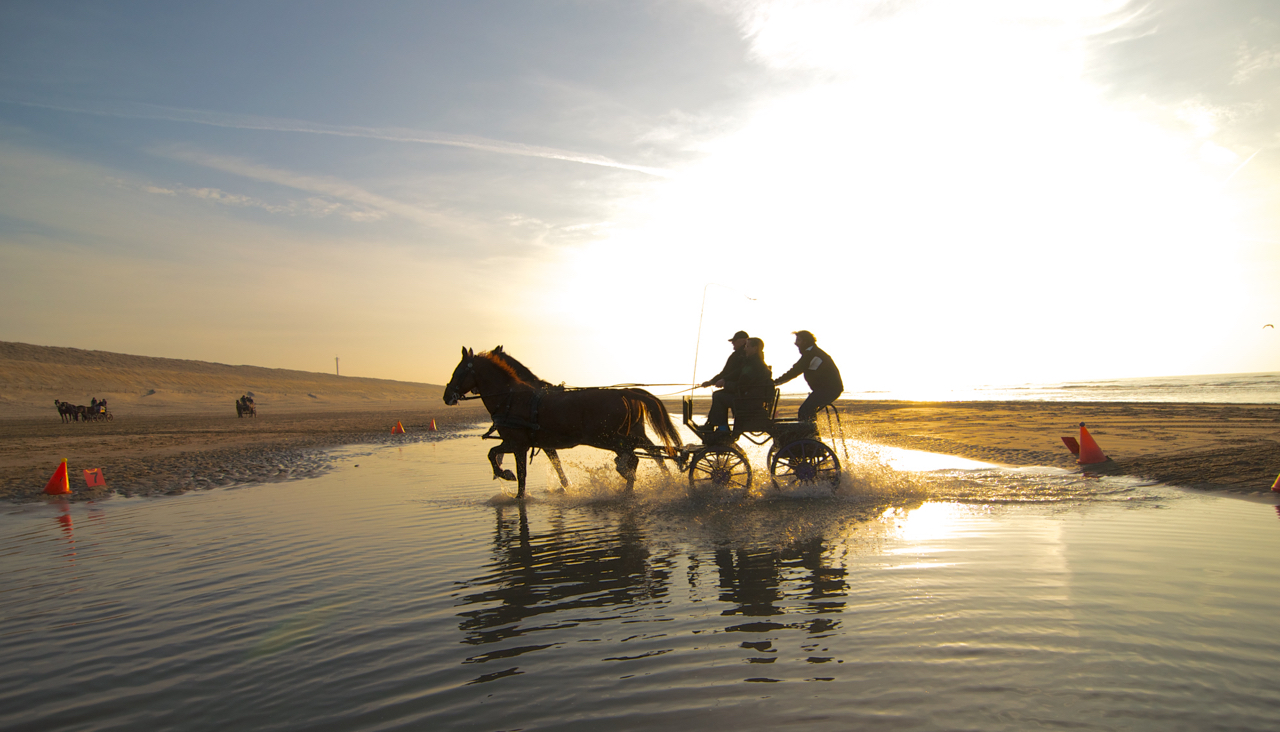 leiderschapstraining teambuilding Span of control paardenmennen GreenDNA