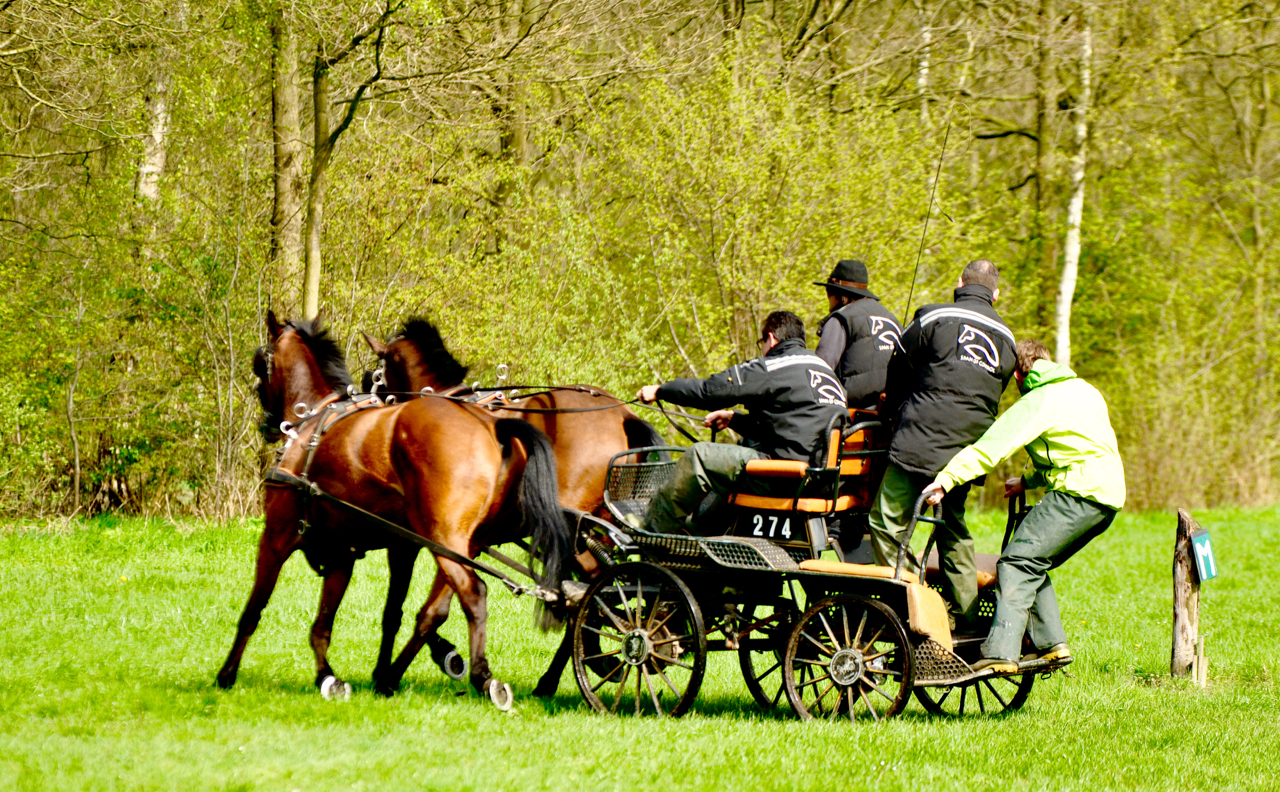 leiderschapstraining teambuilding Span of control paardenmennen GreenDNA